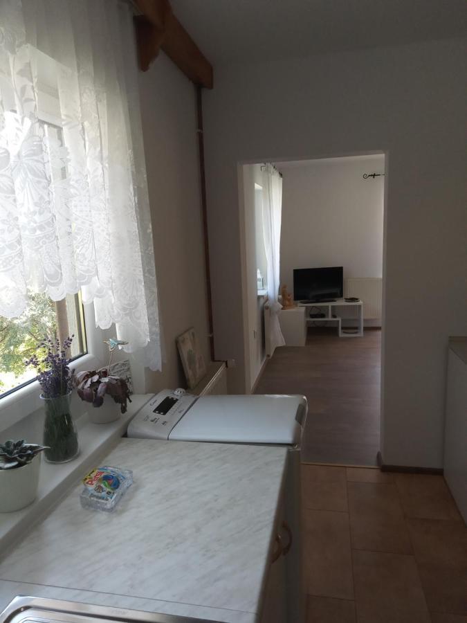 Apartment With A View Bohinjska Bistrica Ngoại thất bức ảnh