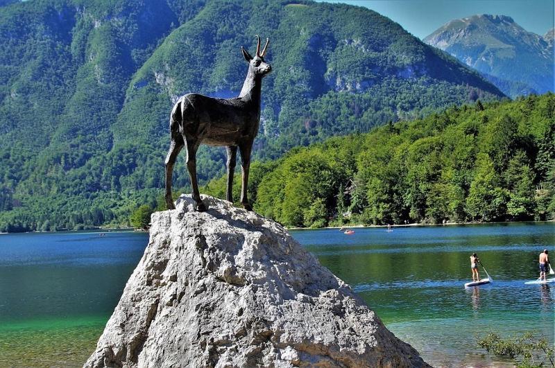 Apartment With A View Bohinjska Bistrica Ngoại thất bức ảnh